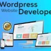 I will be your freelancer in web development in wordpress, shopify