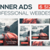 I will design 6 web banner ads in 24 hrs..
