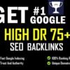 I will do high DR 75 SEO dofollow backlinks for top google ranking
