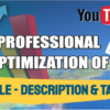 I will do best youtube video SEO expert optimization and channel growth manager