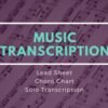 I will do professional music transcription service