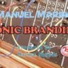 I will create an audio logo and sonic branding for any project