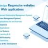 I will develop complete software or web applications