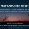 I will offer startup growth package strategy analytics and projections