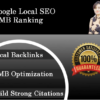 I will do gmb optimization and local SEO for your website