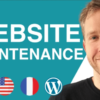 I will update and customize your wordpress website