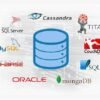 I will do sql query  procedures  triggers  tables  databases  er diagram