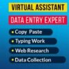 I will be your virtual assistant  I will do data entry and web research