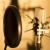 I will professionally record a young male voice over