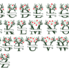 I will create a festive Christmas Alphabet SVG Bundle for your holiday projects