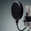 I will record a conversational canadian male voice over