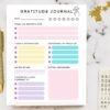 I will provide Gratitude Journal