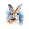 I will create Watercolor Rabbit Clipart  white background