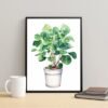 I will create Botanical Print Set of 4 Living Room Wall Art House plant