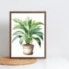 I will create Botanical Print Set of 4 Living Room Wall Art House plant